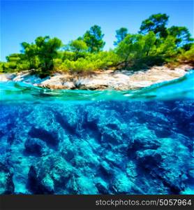 Beauty of tropical nature, blue transparent water around green exotic island, wonderful undersea life, summer vacation concept