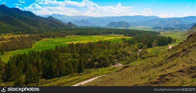Beauty panoramic picture. Beauty panoramic picture of summer Altai. Green and yellow meadow with trees on mountain background
