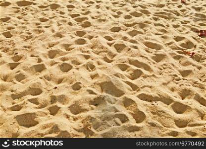 beauty sand background