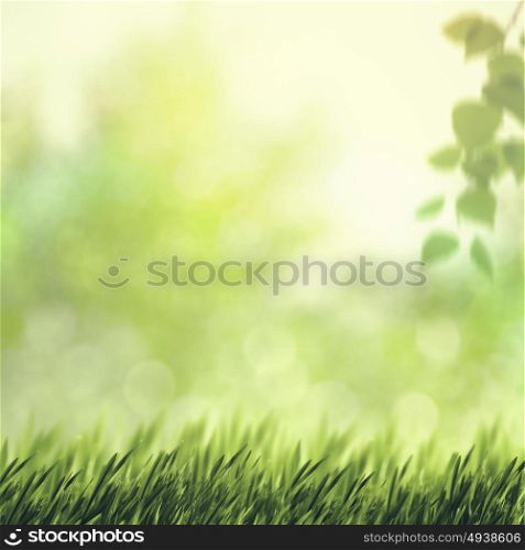 Beauty seasonal backgrounds with green summer foliage and beautiful bokeh