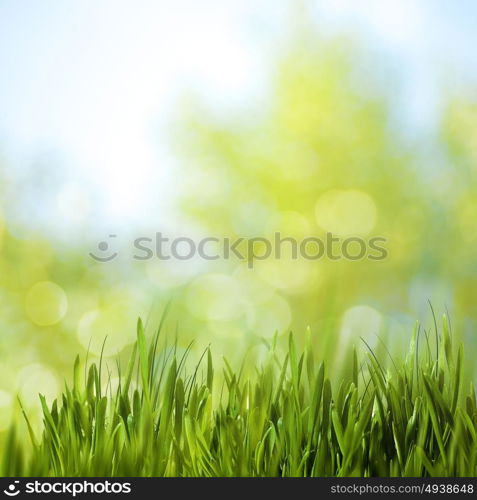 Beauty seasonal backgrounds with green summer foliage and beautiful bokeh