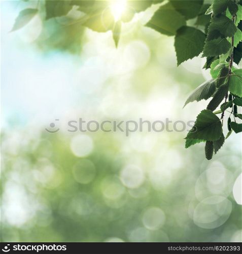 Beauty seasonal backgrounds with shallow focus and natural bokeh