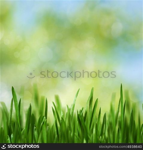 Beauty seasonal landscape with green growing grass and natural bokeh