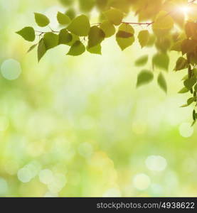 Beauty spring and summer backgrounds with birch tree and blurred seasonal texture