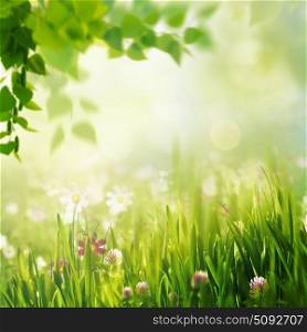 Beauty spring and summer landscape with fresh daisy flowers