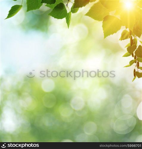 Beauty spring day, abstract seasonal backgrounds with green foliage and shining sun