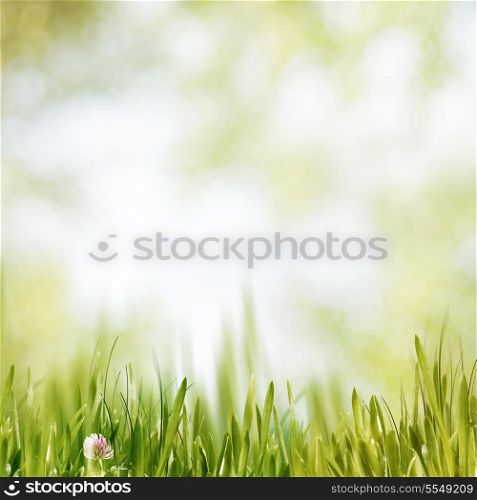 Beauty summer afternoon, abstract environmental backgrounds