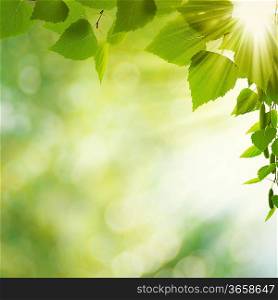 Beauty Summer Day. Abstract environmental backgrounds for your design