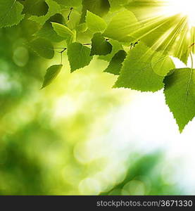 Beauty Summer Day. Abstract environmental backgrounds for your design