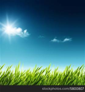 Beauty summer day. Abstract natural landscape with green grass and blue skies