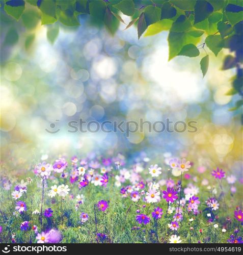 Beauty summer day, abstract rural landscape with blooming flowers and green grass