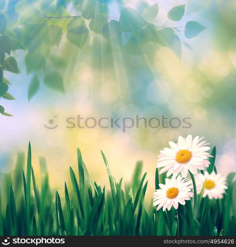 Beauty summer day, abstract rural landscape with blooming flowers and green grass