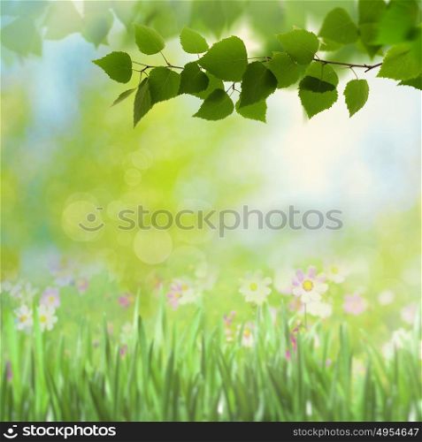 Beauty summer day, abstract rural landscape with blooming flowers and green grass