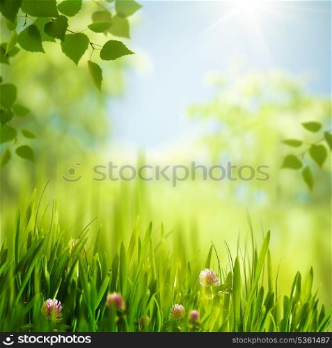 Beauty summer day in the forest, abstract seasonal backgrounds