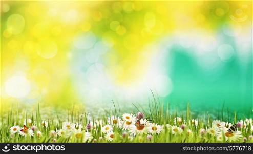Beauty summer day on the meadow. Abstract natural backgrounds for your design
