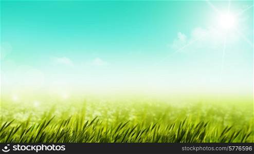 Beauty summer day on the meadow, natural backgrounds