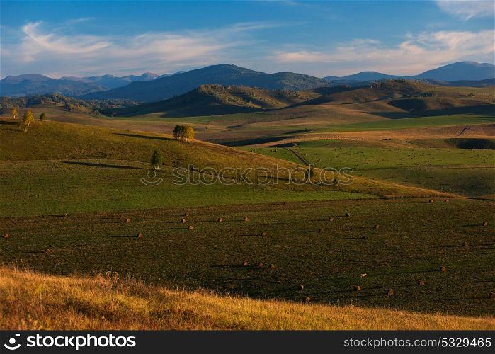 Beauty summer evening in the mountains. Beauty summer evening in the Altay mountains