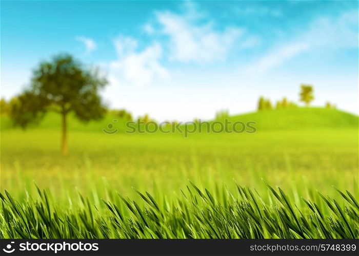 Beauty summer landscape with green grass and hills under shiny skies