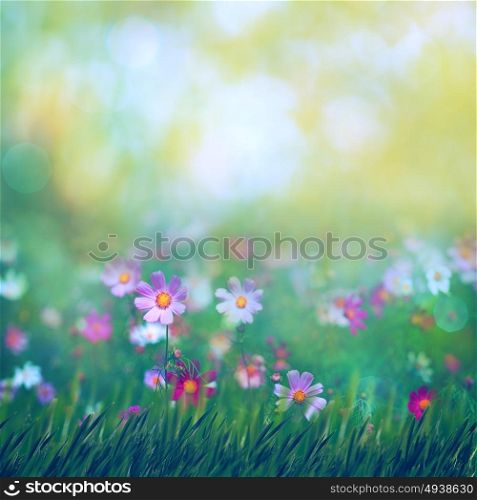 Beauty summer meadow with blooming flowers, seasonal abstract backgrounds