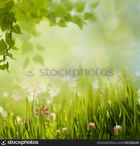 Beauty summer meadow with blooming flowers, seasonal abstract backgrounds