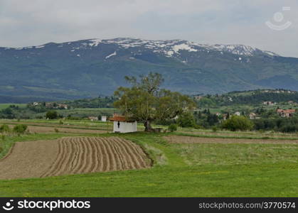 Beauty view of advance summer in Plana mountain