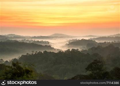 beautyful majestic sunrise in the mountains landscape forest white fog and orange clouds