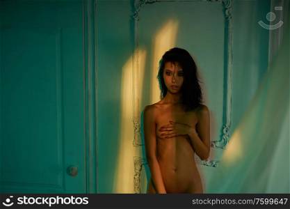 Beautyful nude woman in home interior. Sexy lady with perfect body in bedroom. Sexual portrait of young model pose infront of windows. Erotic figure of naked beauty in room.
