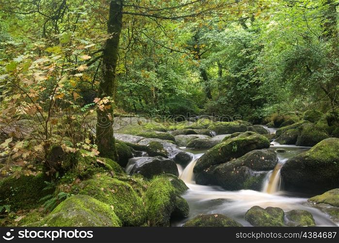 Becky Falls waterfall landscape in Dartmoor National Park England