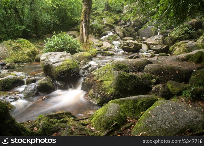 Becky Falls waterfall landscape in Dartmoor National Park England