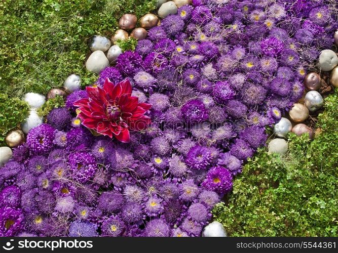 Bed with violet asters and gold stones