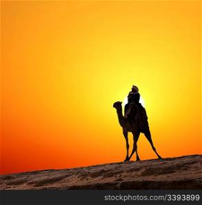 bedouin on camel silhouette against sunrise in africa