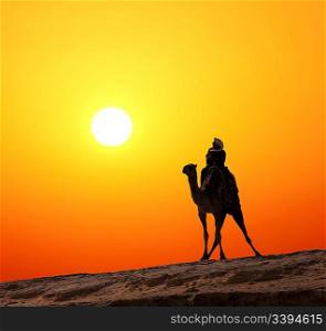 bedouin on camel silhouette against sunrise in africa