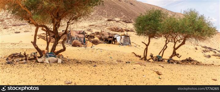 Bedouin village in the Nubian Desert, Sahara, Egypt.. Bedouin village in the Nubian Desert, Sahara, Egypt