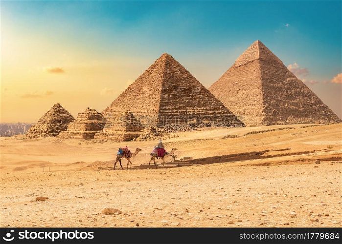 Bedouin with camels on a background of pyramids at sunset. Pyramids at sunset