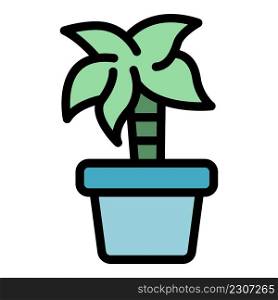 Bedroom palm tree pot icon. Outline bedroom palm tree pot vector icon color flat isolated. Bedroom palm tree pot icon color outline vector