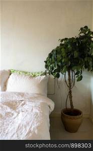 bedroom white linen and green house plant, modern design close-up lifestyle. bedroom white linen and green house plant, modern design close-up