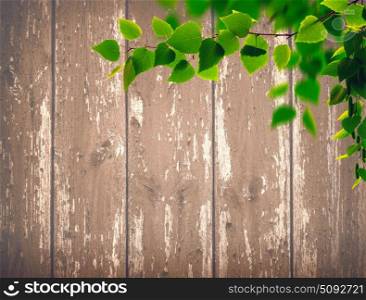 Beech foliage against old wooden desk, abstract natural backgrounds