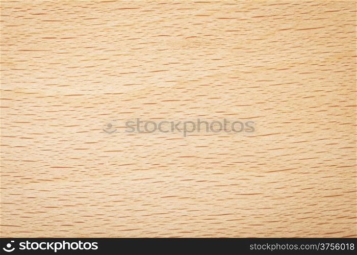 Beech wood texture for background. Natural plank macro shot