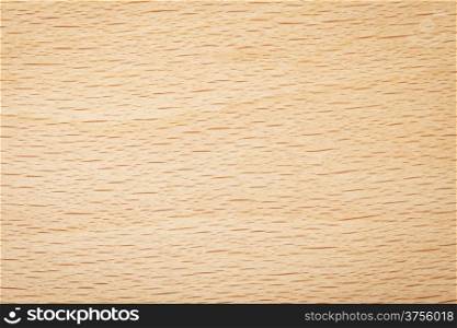 Beech wood texture for background. Natural plank macro shot