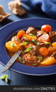 beef stew with potato and carrot in blue plate