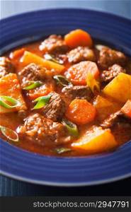 beef stew with potato and carrot in blue plate
