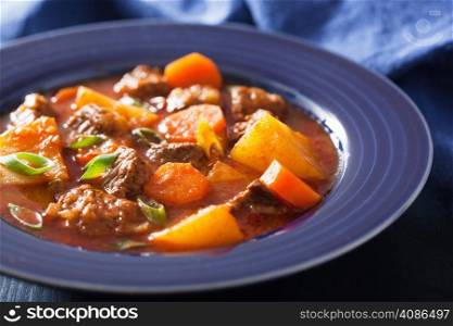 beef stew with potato and carrot in blue plate