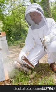 beekeeper in the apiary