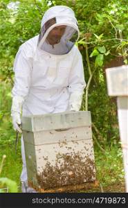 Beekeeper tending hive swarming with bees