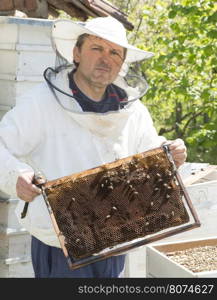 Beekeeper with honeycombs in hands. Bulgaria, Pleven