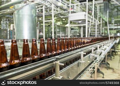 Beer bottles on the conveyor belt . Beer conveyor