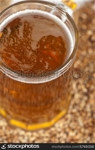 beer glass at malt grains on white background. beer glass