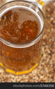 beer glass at malt grains on white background. beer glass