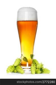 beer glass with fresh green hop