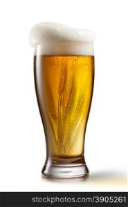Beer in glass and wheat inside isolated on white background